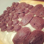 Mini Brownie Bundts and Madeleines