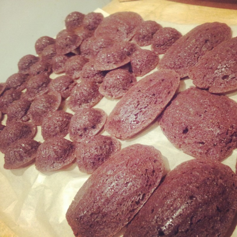 Mini Brownie Bundts and Madeleines