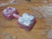 The pressed Hydrangea Blossom