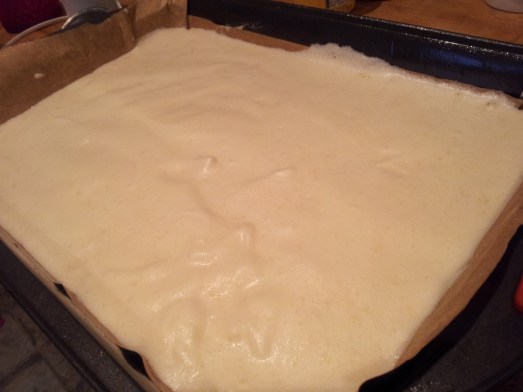 Rocambole Carefully pour the mixture into a rectangular baking tin