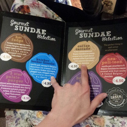 Our two choices from the Gourmet Sundae menu