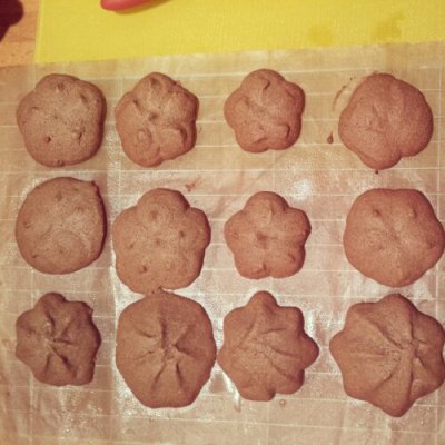 The baked speculoos biscuits