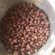 Tender Aduki Beans after 2 hours simmering