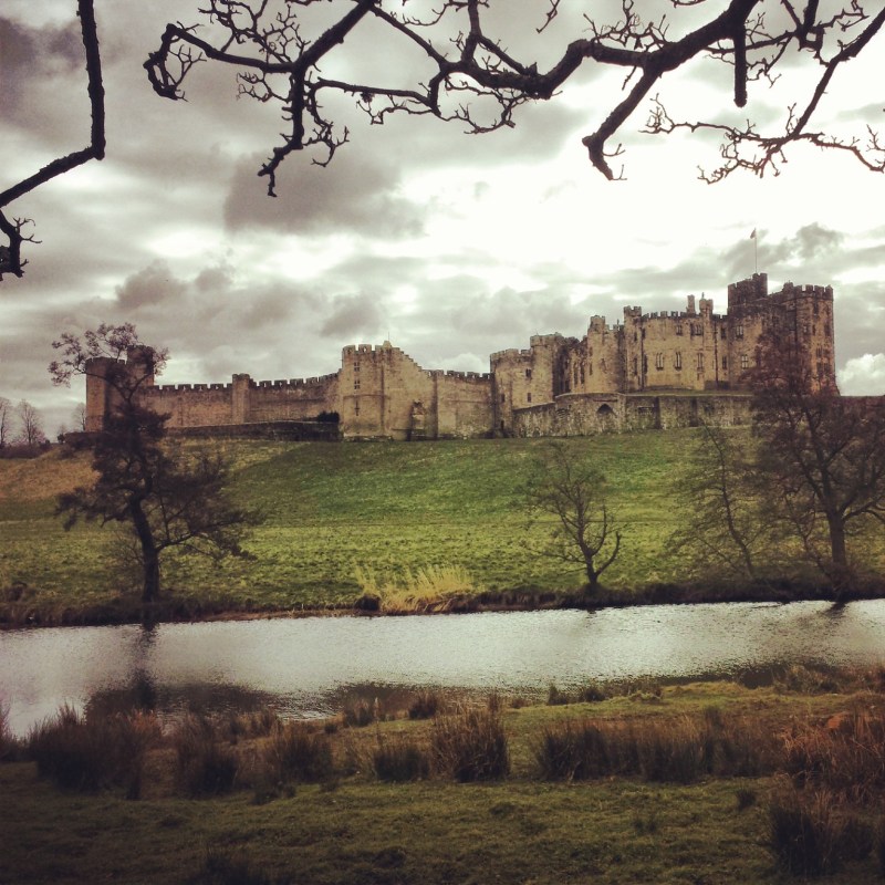 Perfect Cake spot: A blustry day by Alnwick Castle