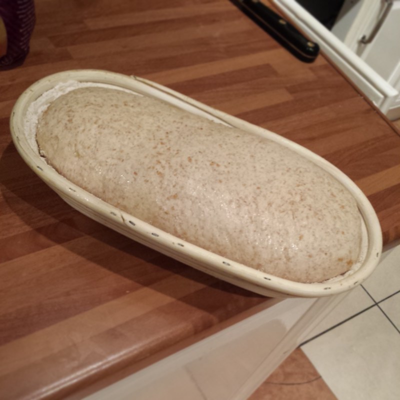 Proven dough in my rectangular bannetone
