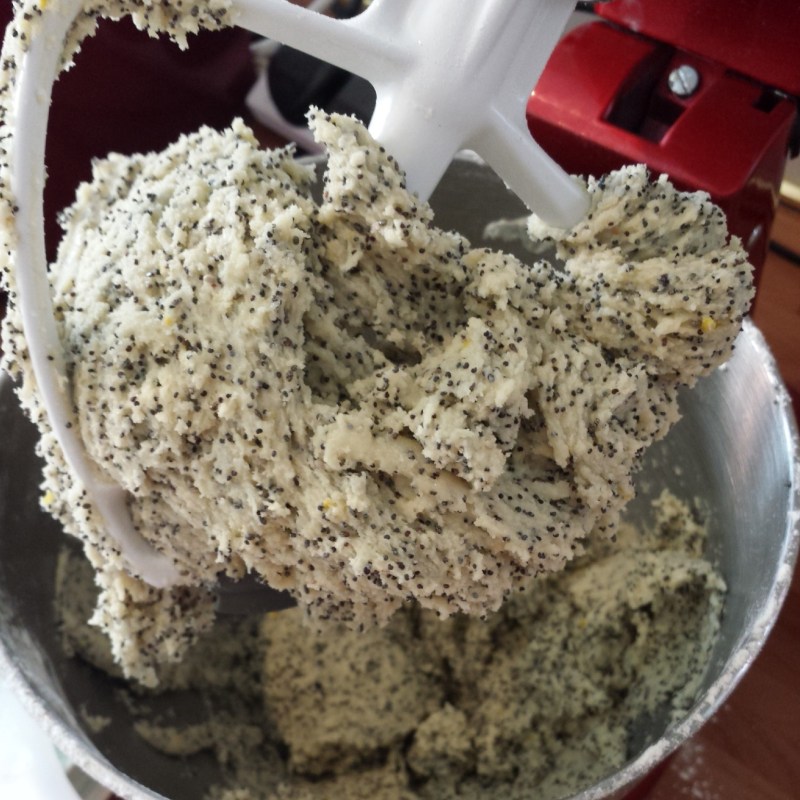 lemon Poppy seed cookies speckled dough