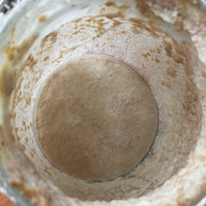 Oh so hungry and unhappy sourdough starter