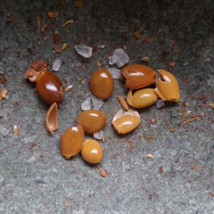 The stars of the show - Star Anise seeds and Pink Himalyan Salt ready for grinding
