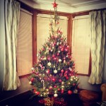 Oh Christmas Tree oh Christmas Tree (All 9 ft of you)